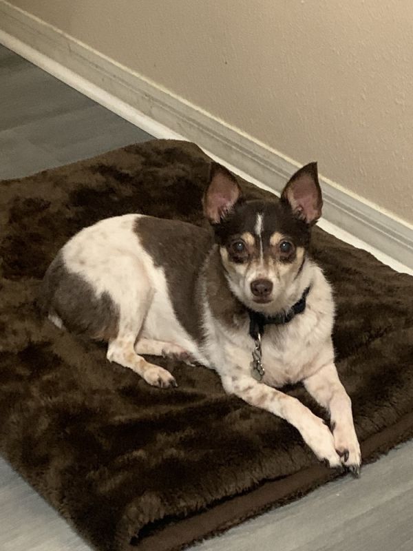 Maribell thumbnail 2