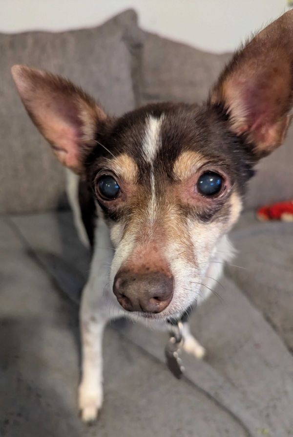 Maribell thumbnail 3