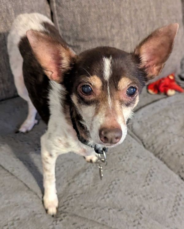 Maribell thumbnail 4