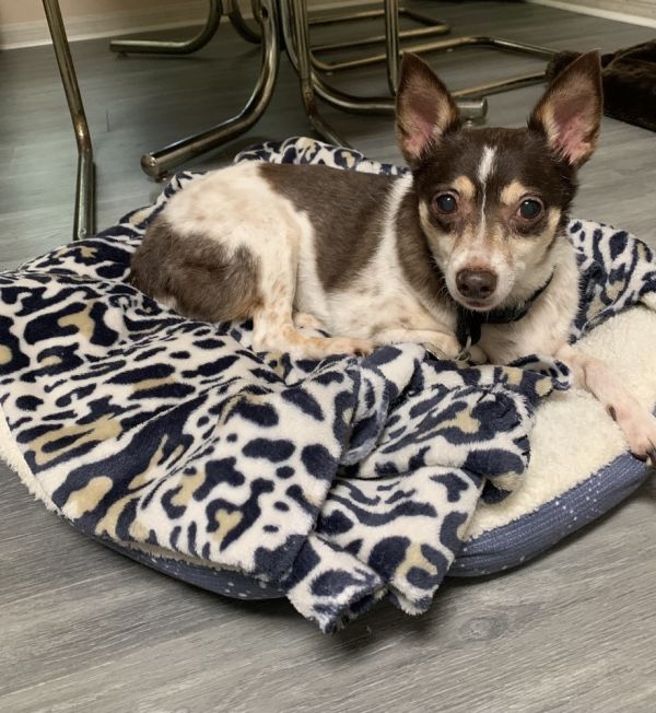 Maribell thumbnail 5