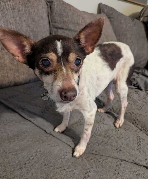 Maribell thumbnail 6