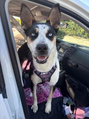 Maggie