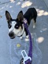 Maggie photo 2