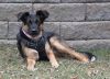 Stella Jane