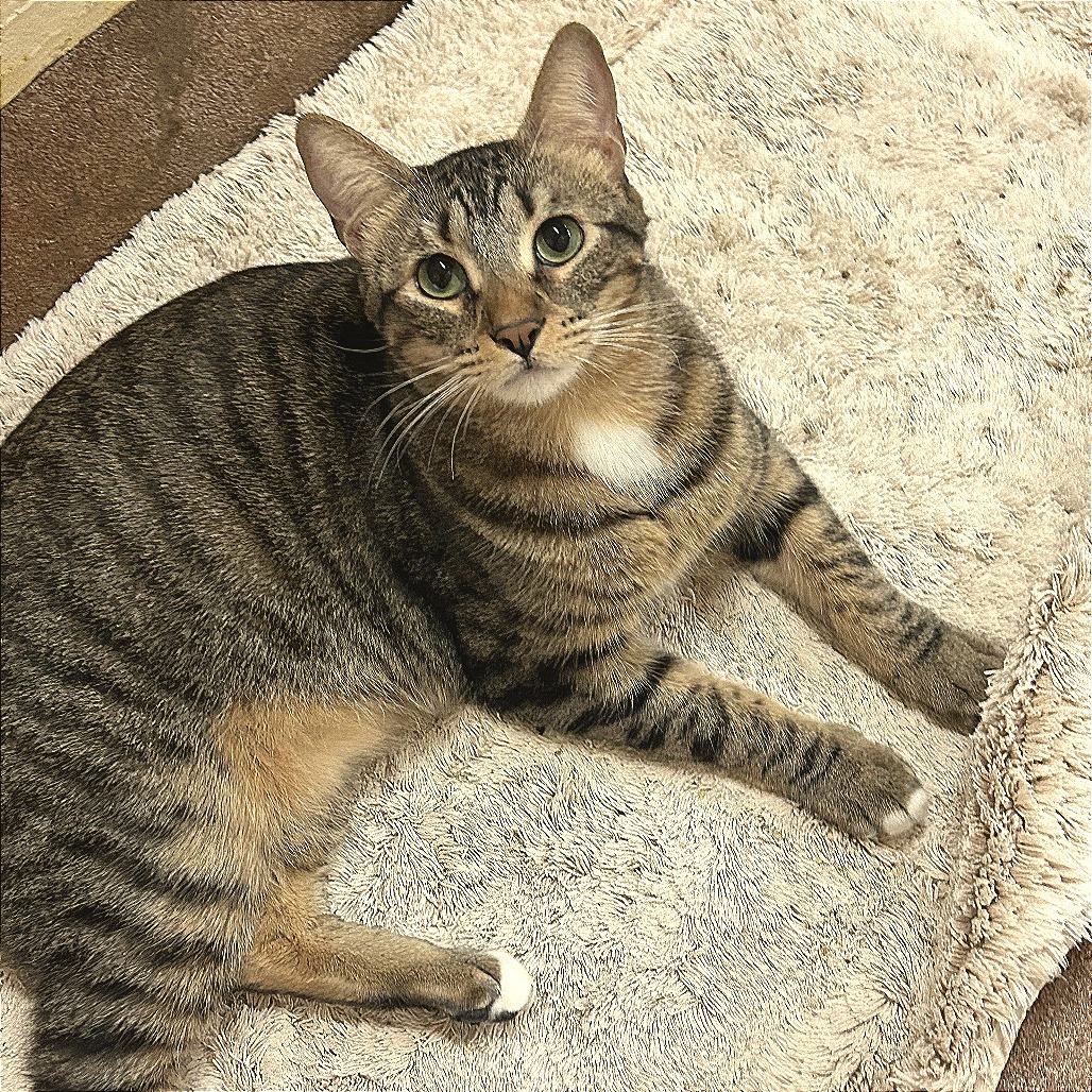 Tiki