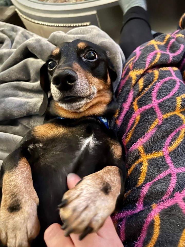 Peanut