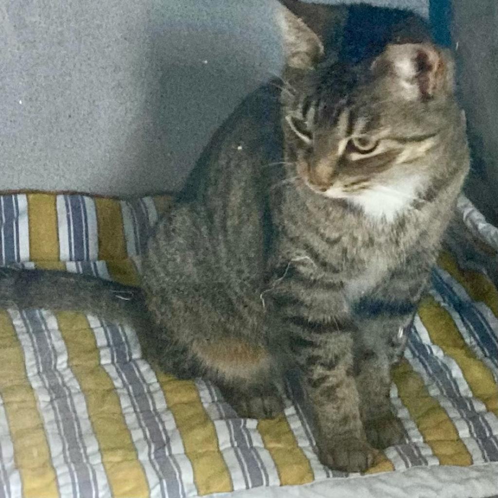 Suzie