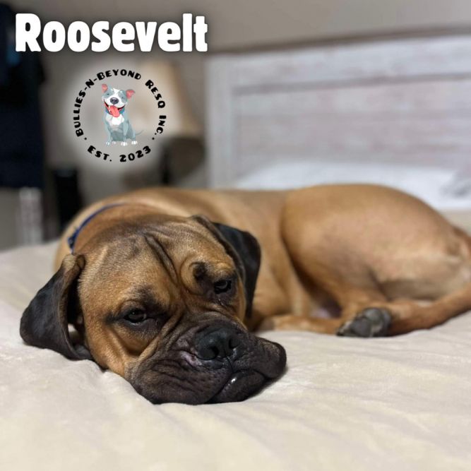 Roosevelt