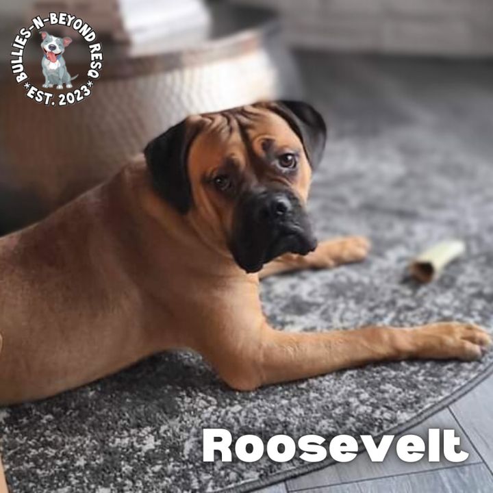 Roosevelt 2