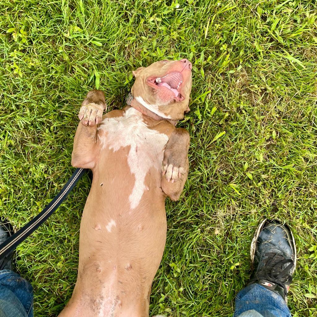 Lil Anne Mae