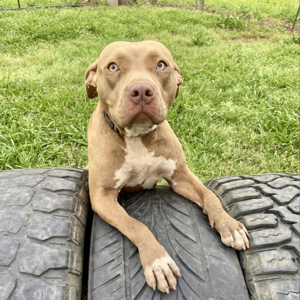 Lil Anne Mae