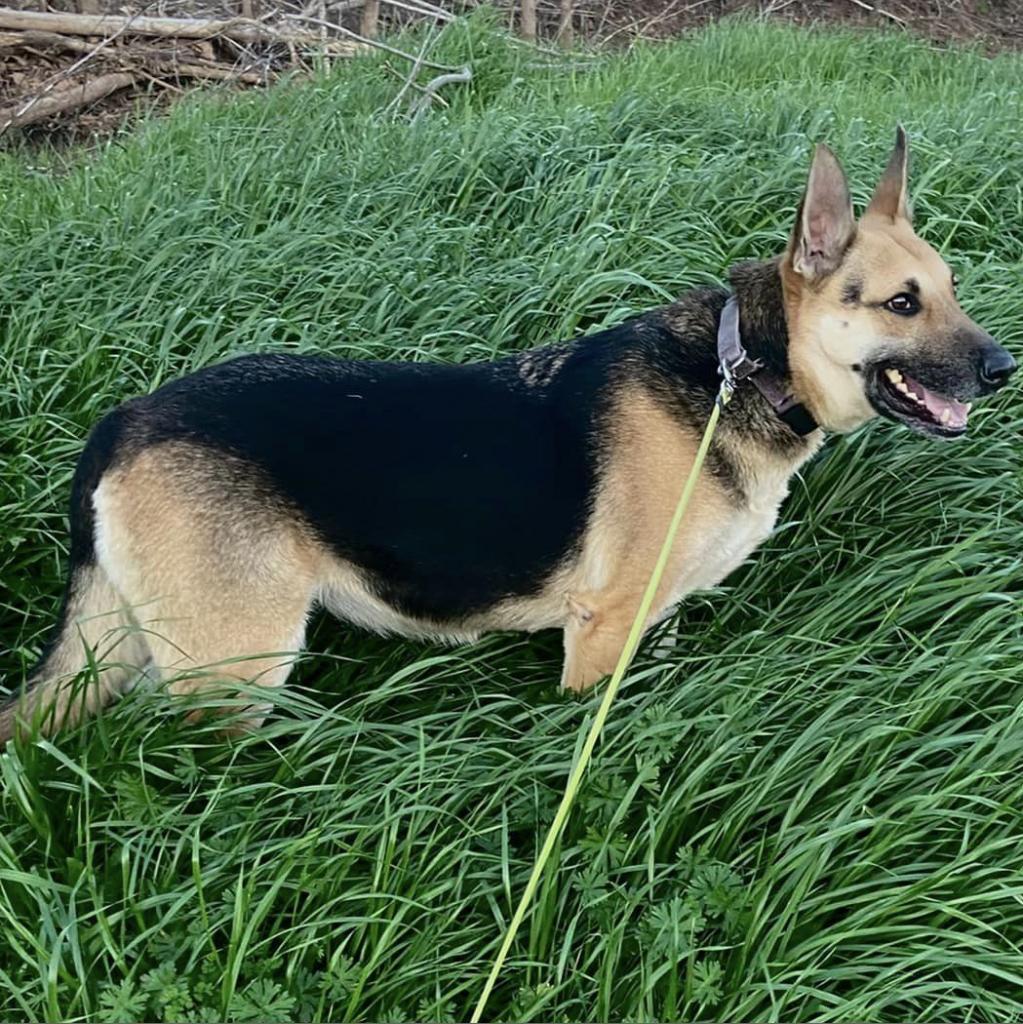 Maybel