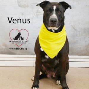 Venus