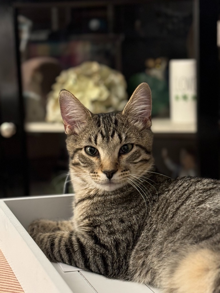 Ted