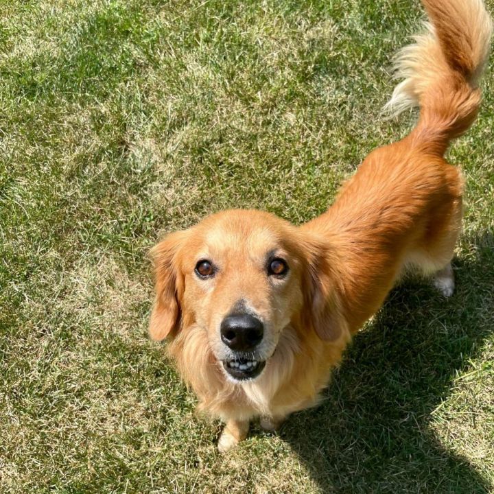 Monty 1