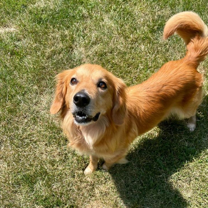 Monty 3