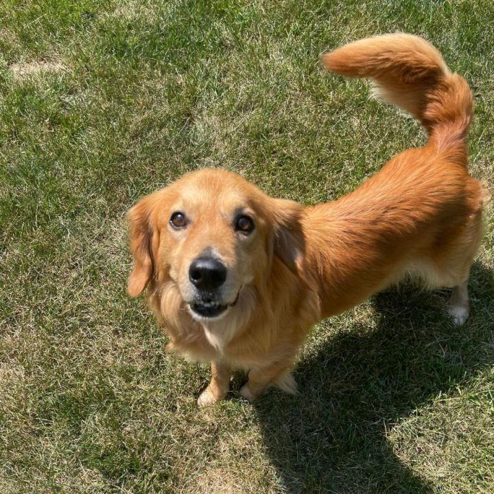 Monty 4