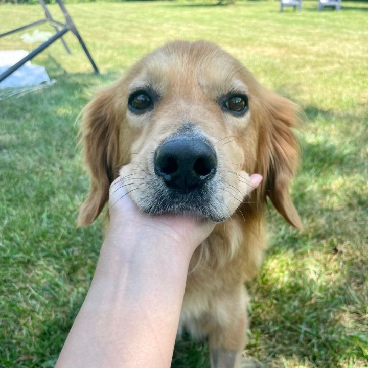 Monty 6