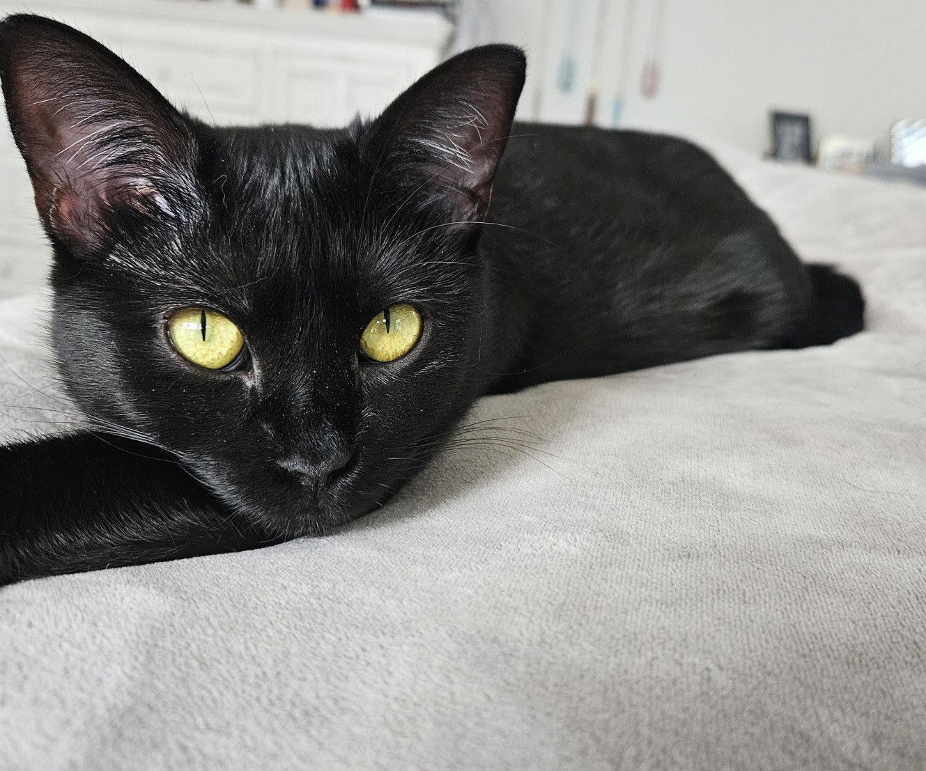 Diana
