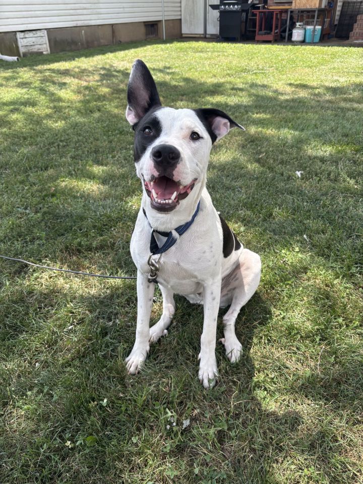 Radar - Ready for Fun! 2