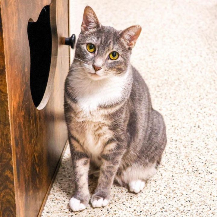 Smokey (Bonded with Bandit) 2