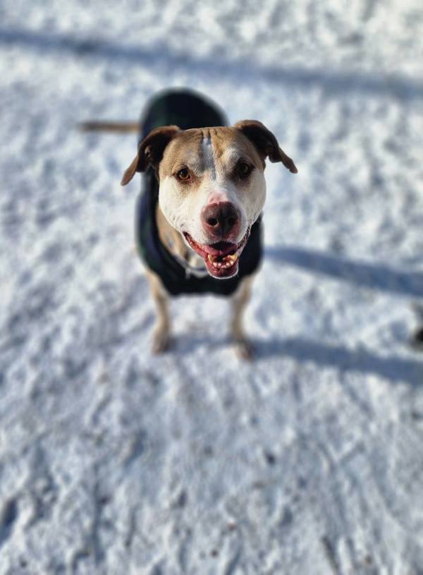 Oakley