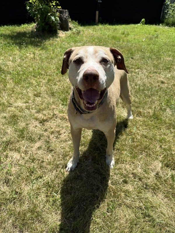 Oakley