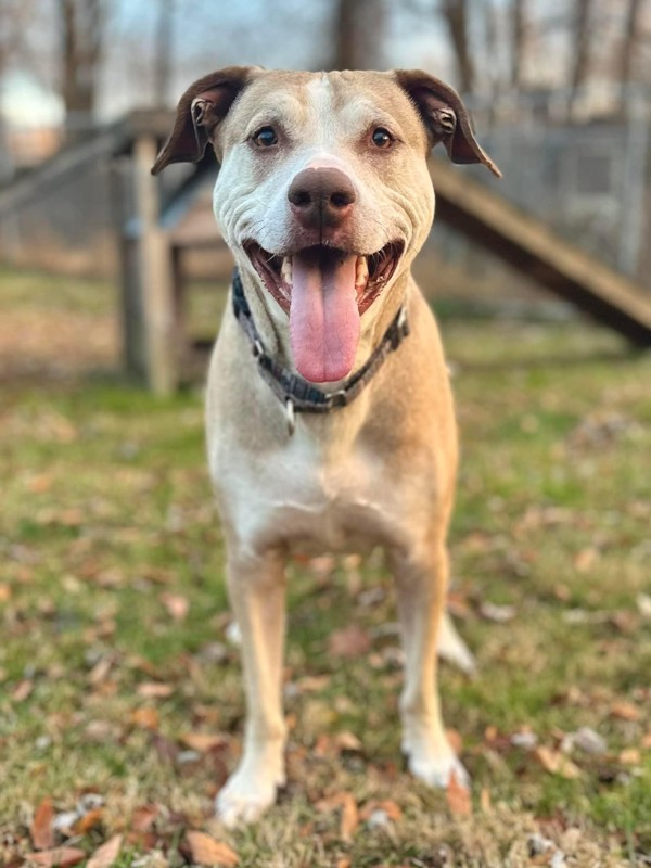 Oakley