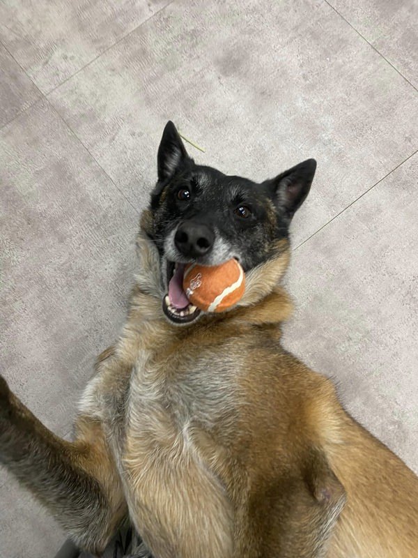 Skye