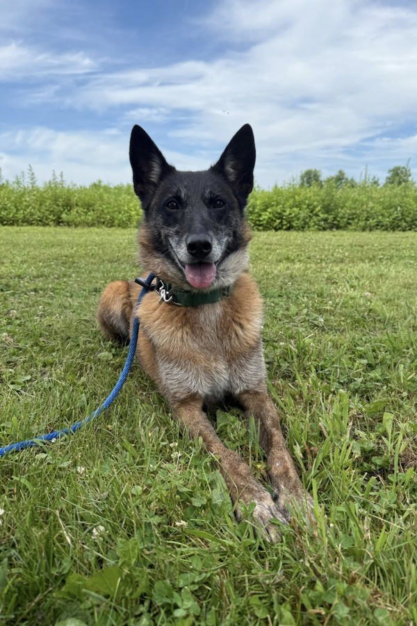 Skye
