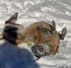 Skye photo 3