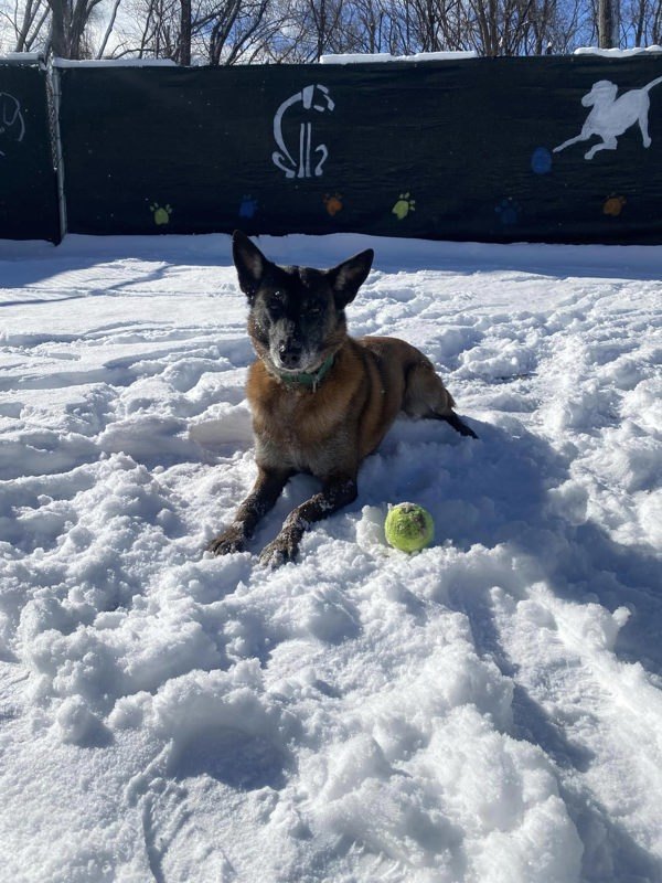 Skye