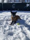 Skye photo 4