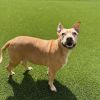 Bella 4969 photo 2