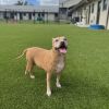 Bella 4969 photo 3