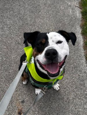 Tyson