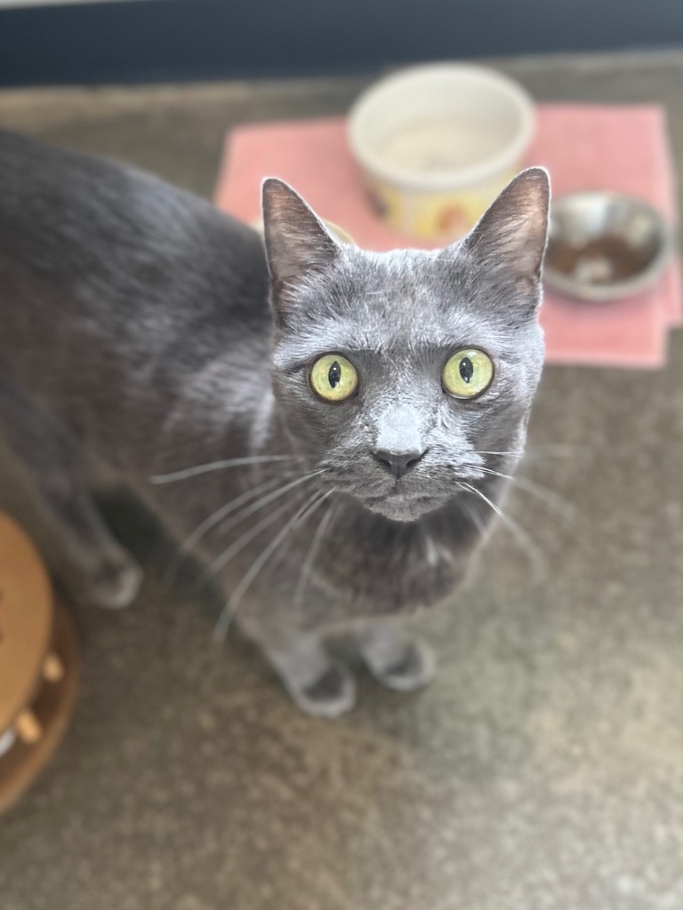 Melvin