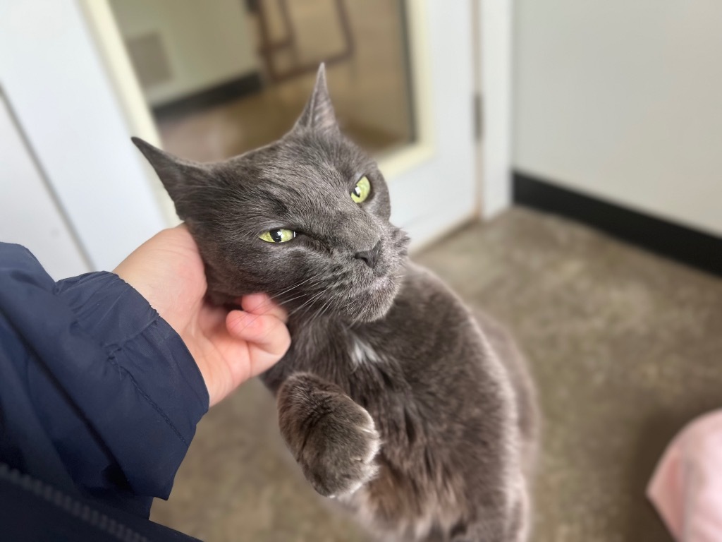 Melvin