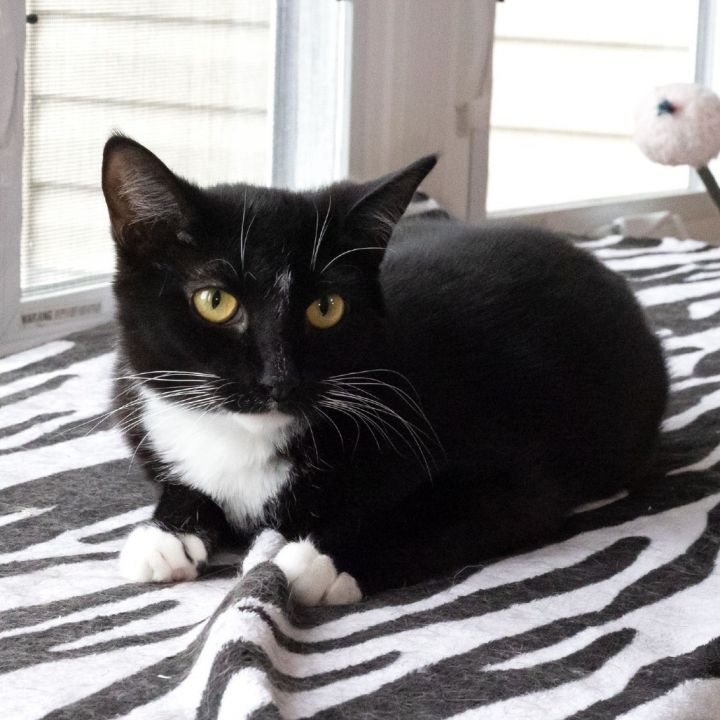 Teeny 1