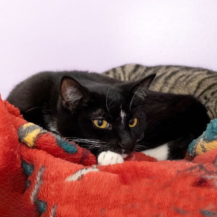 Teeny 3