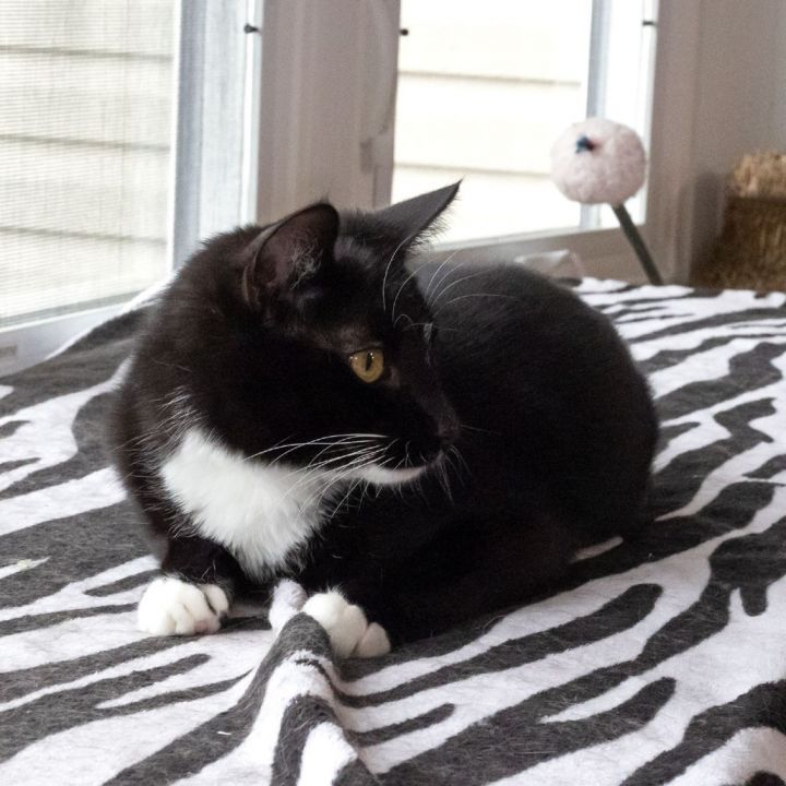 Teeny 4