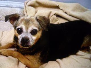Dorothy 1