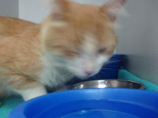 Butters 1