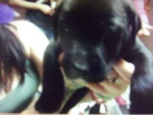 Mack