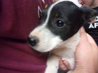 Widdle Baby