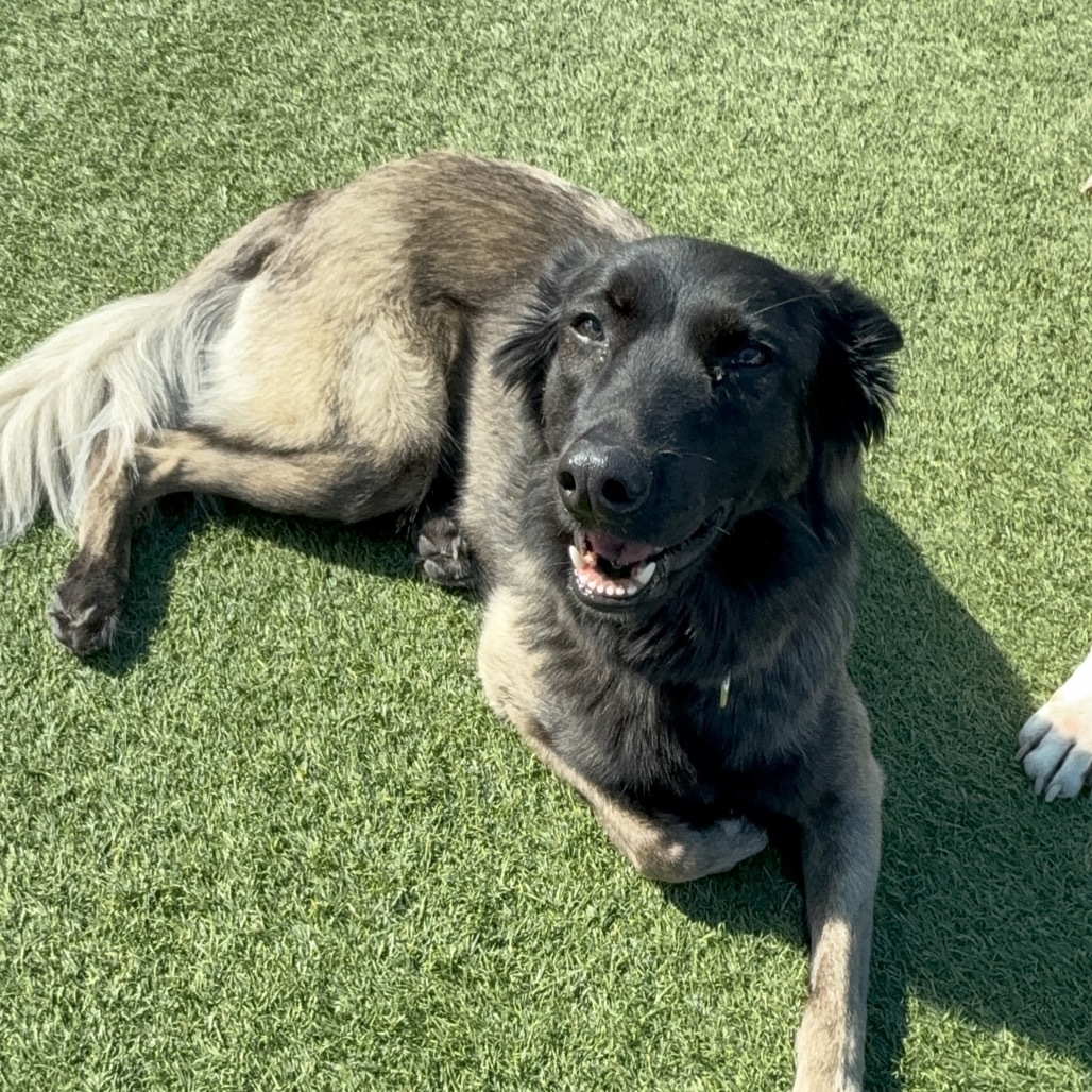 Fiona A2074161
