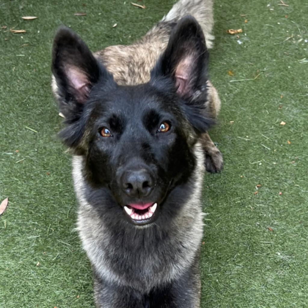 Fiona A2074161