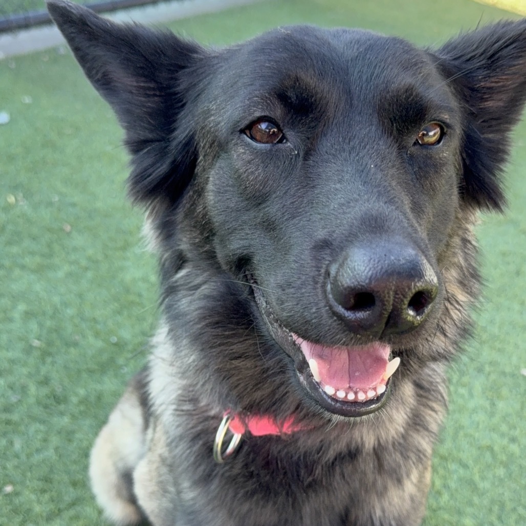 Fiona A2074161