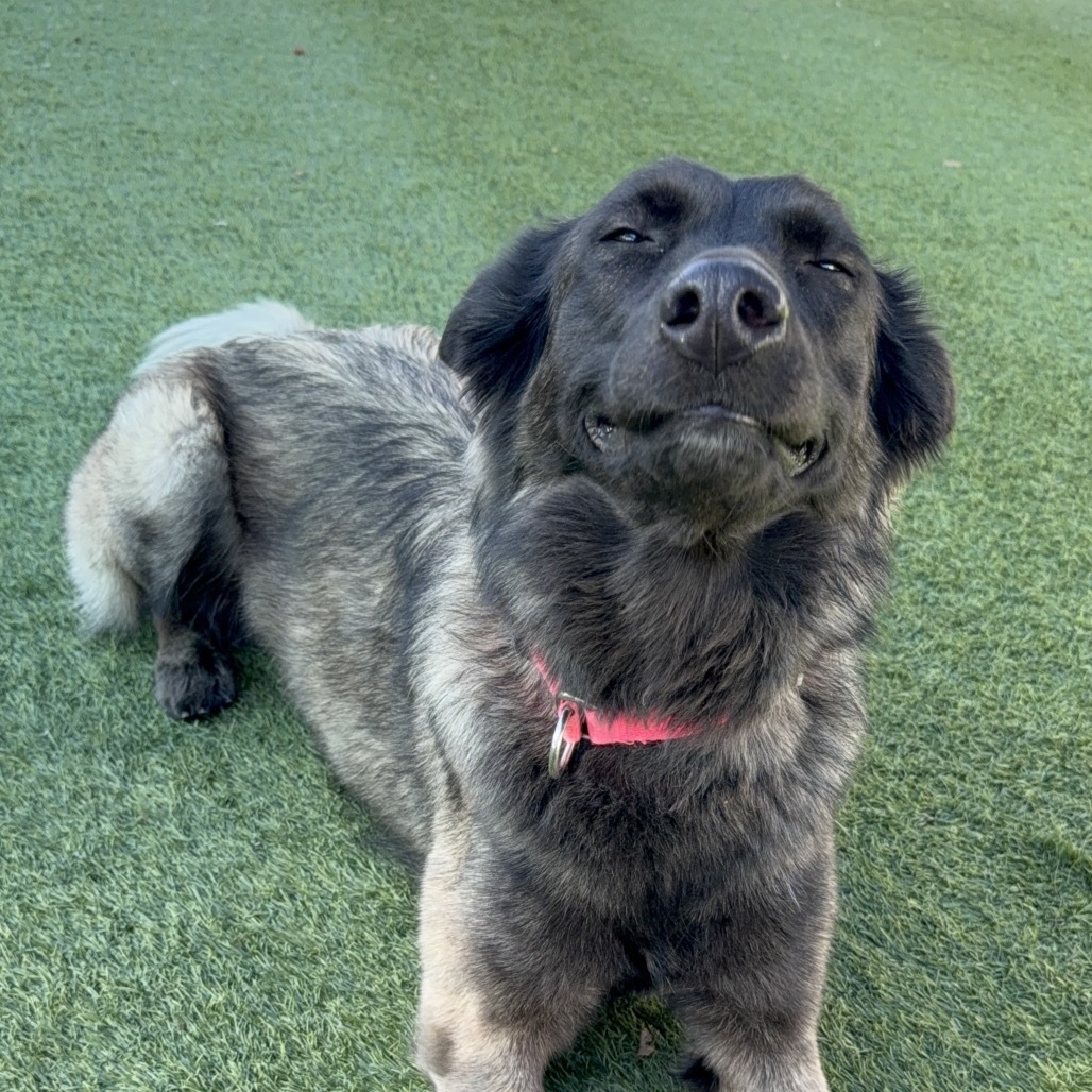 Fiona A2074161