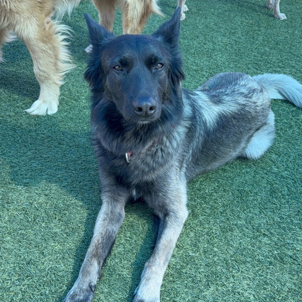 Fiona A2074161